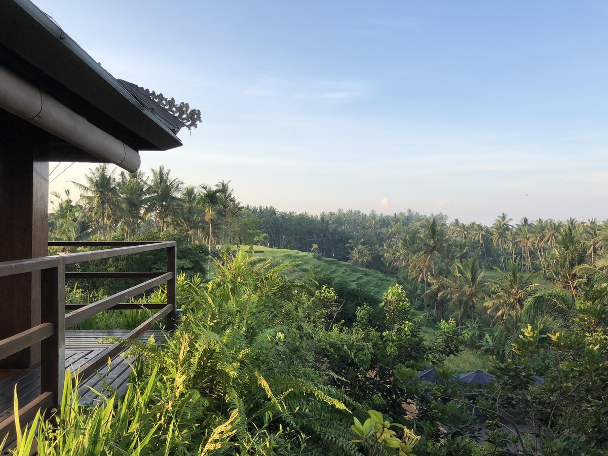 Soulshine Bali Hotel Ubud  Exterior photo